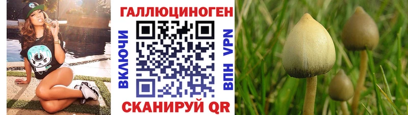 Псилоцибиновые грибы Cubensis  Купить где  Ростов 